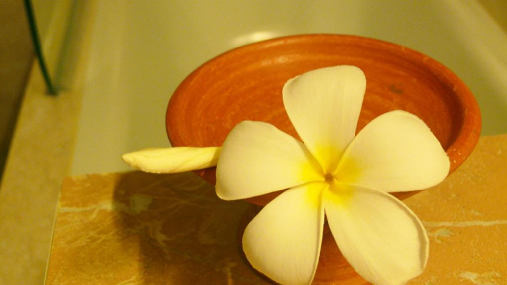 Paris Angkor Boutique Hotell Siem Reap Rum bild